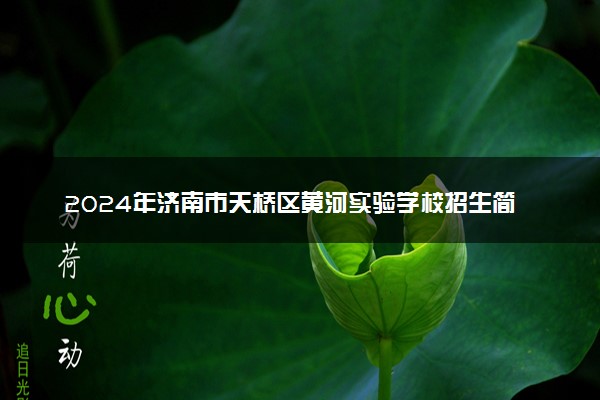2024年济南市天桥区黄河实验学校招生简章
