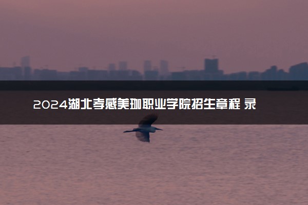 2024湖北孝感美珈职业学院招生章程 录取规则是什么