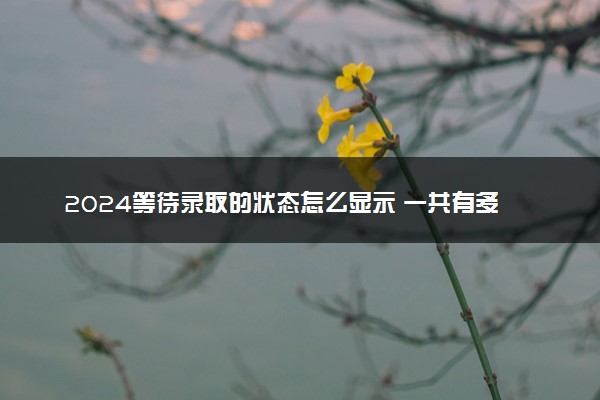 2024等待录取的状态怎么显示 一共有多少录取状态