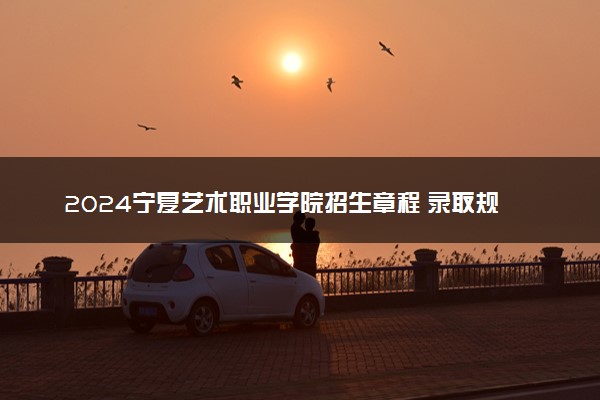 2024宁夏艺术职业学院招生章程 录取规则是什么