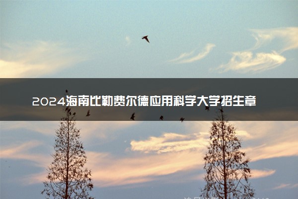 2024海南比勒费尔德应用科学大学招生章程 录取规则是什么