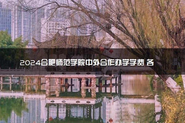 2024合肥师范学院中外合作办学学费 各专业最新收费标准