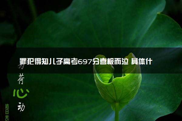 罪犯得知儿子高考697分喜极而泣 具体什么情况