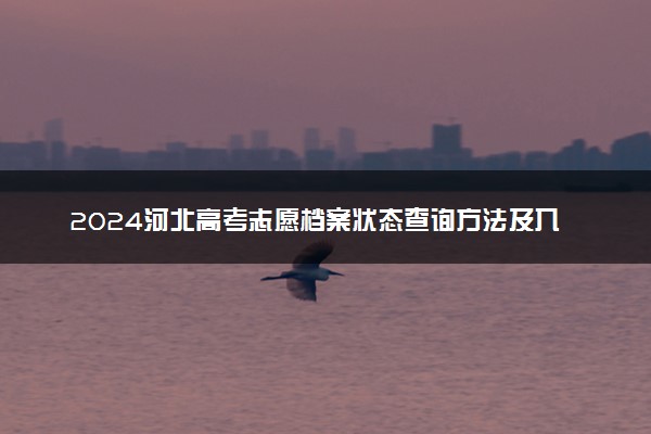 2024河北高考志愿档案状态查询方法及入口 在哪查看