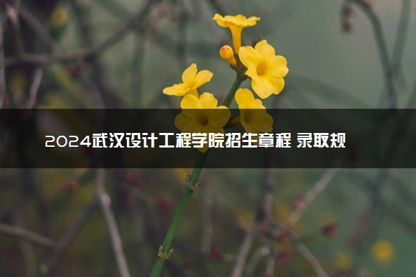 2024武汉设计工程学院招生章程 录取规则是什么