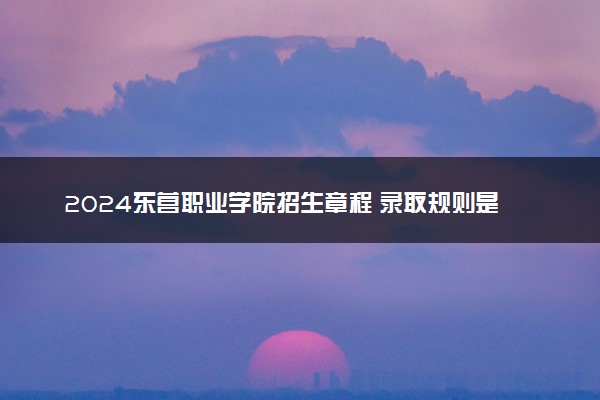 2024东营职业学院招生章程 录取规则是什么