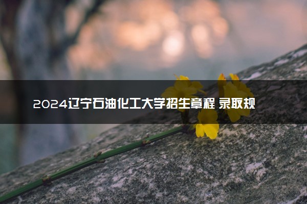 2024辽宁石油化工大学招生章程 录取规则是什么