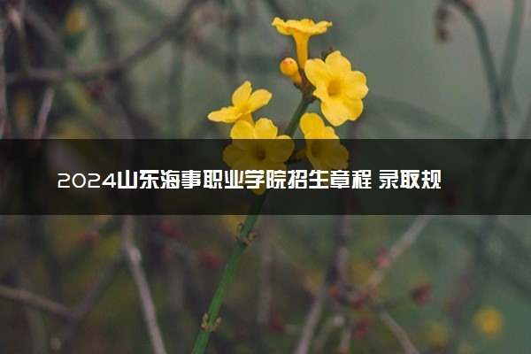2024山东海事职业学院招生章程 录取规则是什么