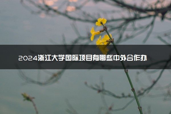 2024浙江大学国际项目有哪些中外合作办学专业