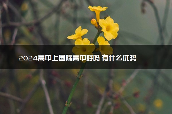 2024高中上国际高中好吗 有什么优势