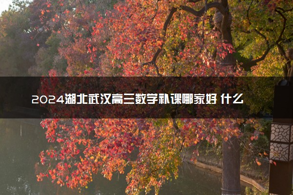 2024湖北武汉高三数学补课哪家好 什么机构正规靠谱