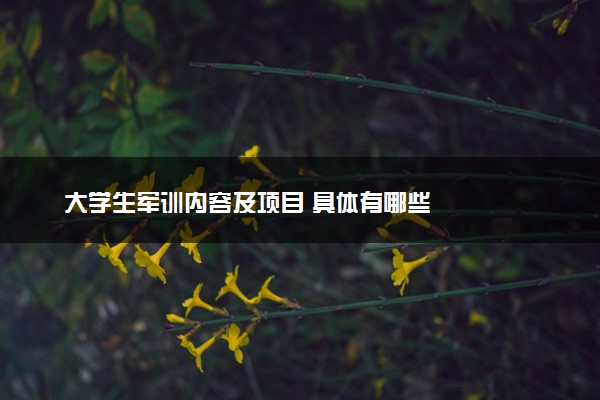 大学生军训内容及项目 具体有哪些
