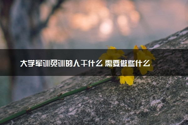 大学军训免训的人干什么 需要做些什么