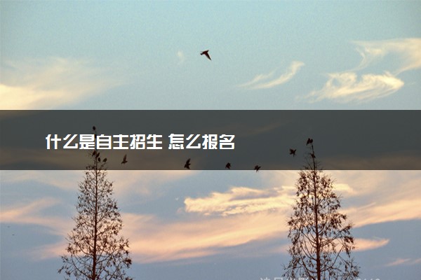 什么是自主招生 怎么报名