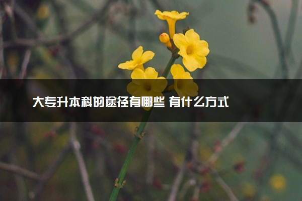大专升本科的途径有哪些 有什么方式