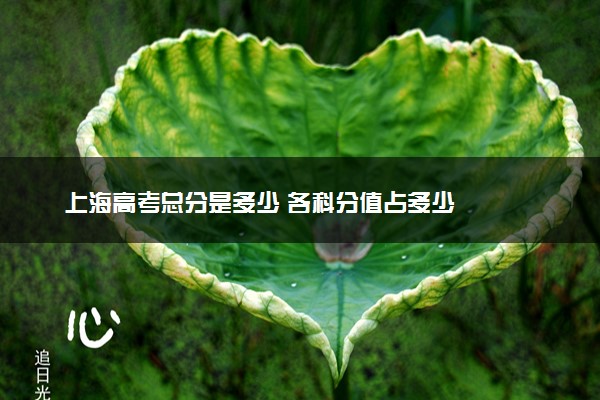 上海高考总分是多少 各科分值占多少