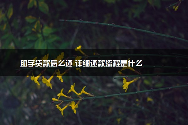 助学贷款怎么还 详细还款流程是什么