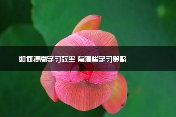 如何提高学习效率 有哪些学习策略