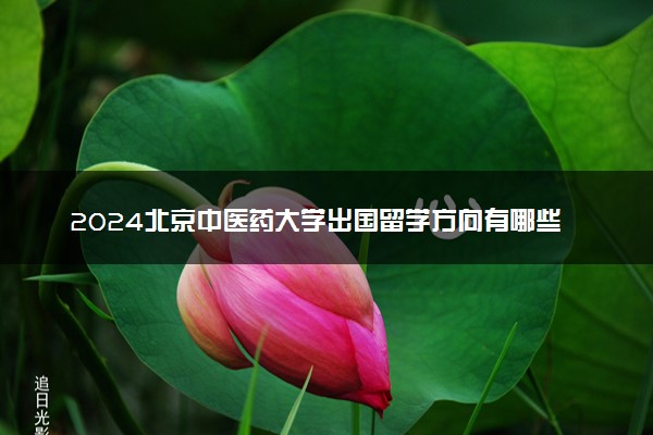 2024北京中医药大学出国留学方向有哪些 好申请吗