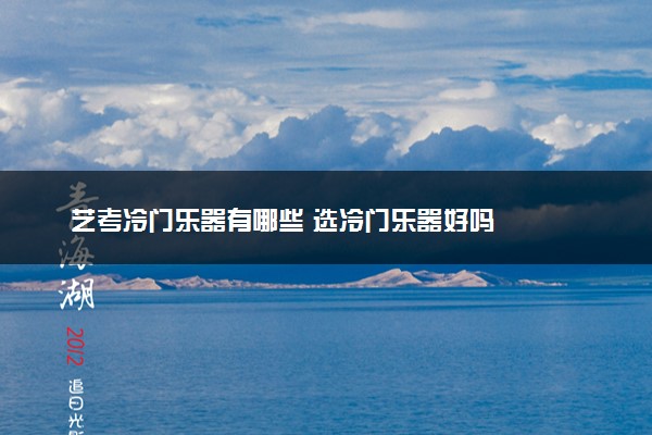 艺考冷门乐器有哪些 选冷门乐器好吗