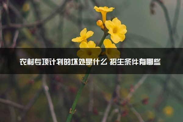 农村专项计划的坏处是什么 招生条件有哪些
