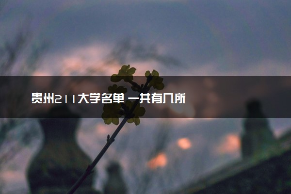 贵州211大学名单 一共有几所