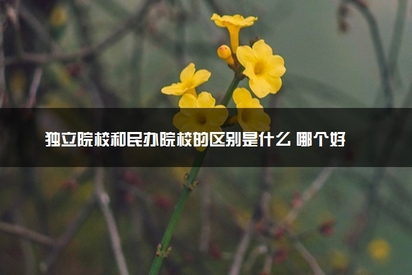 独立院校和民办院校的区别是什么 哪个好
