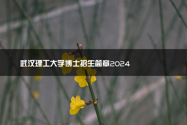 武汉理工大学博士招生简章2024
