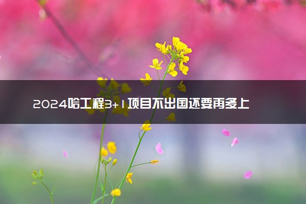 2024哈工程3+1项目不出国还要再多上一年吗