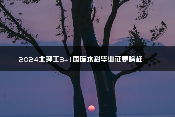 2024北理工3+1国际本科毕业证是啥样的 就业前景如何