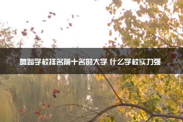 舞蹈学校排名前十名的大学 什么学校实力强