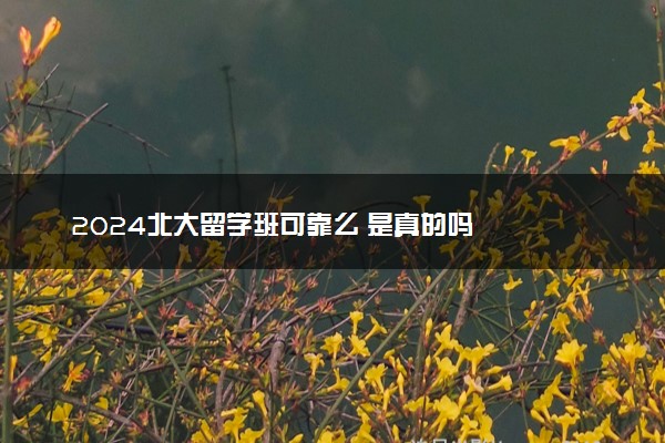 2024北大留学班可靠么 是真的吗