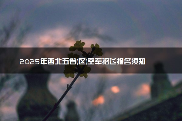 2025年西北五省(区)空军招飞报名须知 选拔流程是什么