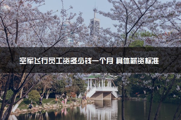 空军飞行员工资多少钱一个月 具体薪资标准