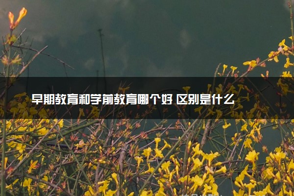 早期教育和学前教育哪个好 区别是什么