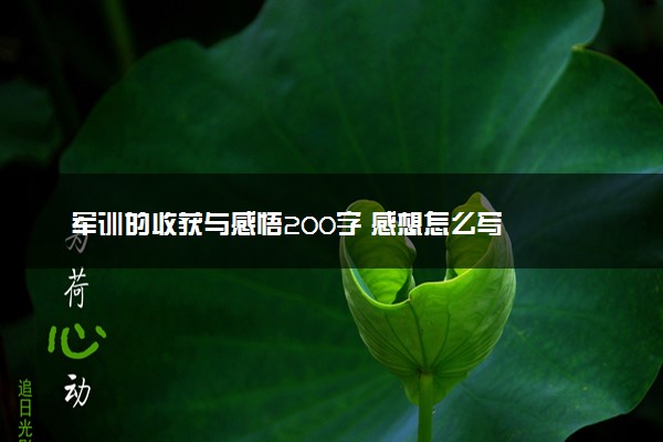 军训的收获与感悟200字 感想怎么写