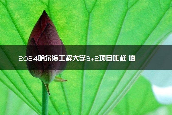 2024哈尔滨工程大学3+2项目咋样 值得读吗