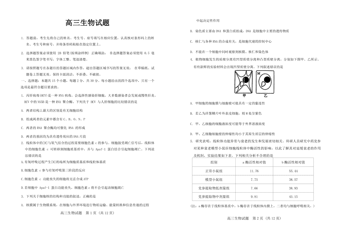 山东省泰安市肥城市2024-2025学年高三上学期开学考试 生物 Word版含答案