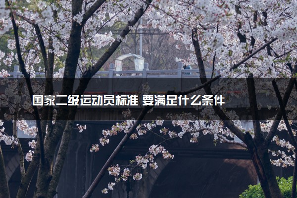 国家二级运动员标准 要满足什么条件