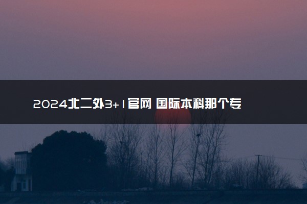 2024北二外3+1官网 国际本科那个专业最好