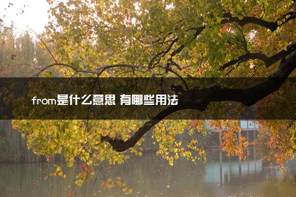 from是什么意思 有哪些用法