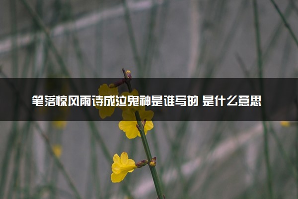 笔落惊风雨诗成泣鬼神是谁写的 是什么意思