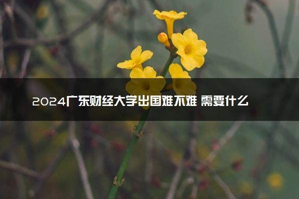 2024广东财经大学出国难不难 需要什么条件