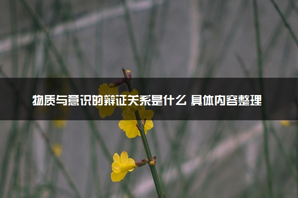 物质与意识的辩证关系是什么 具体内容整理