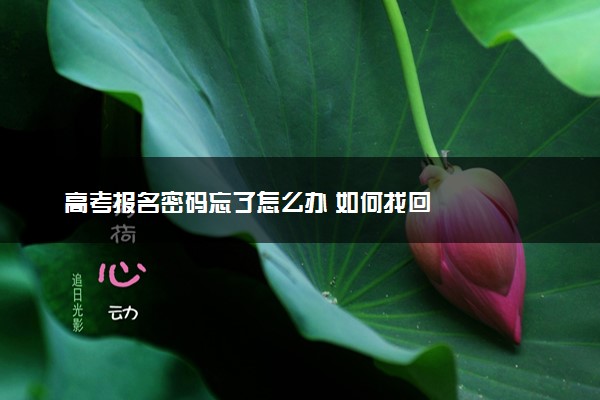 高考报名密码忘了怎么办 如何找回