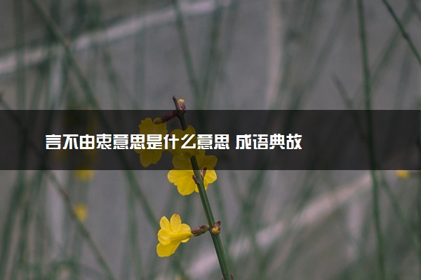 言不由衷意思是什么意思 成语典故