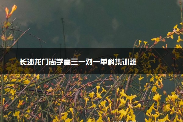 长沙龙门尚学高三一对一单科集训班