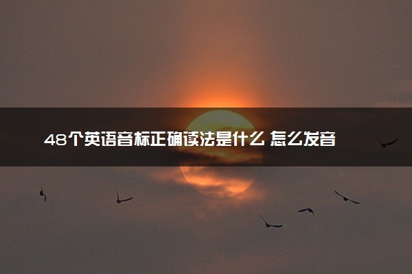 48个英语音标正确读法是什么 怎么发音