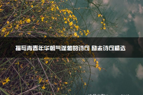 描写青春年华朝气蓬勃的诗句 励志诗句精选