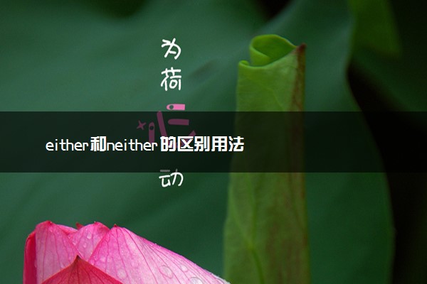 either和neither的区别用法 二者有何不同